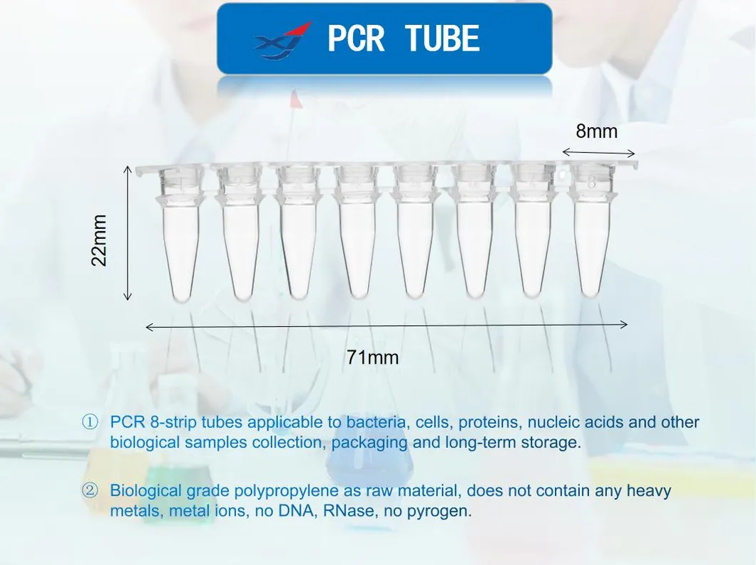 PCR Tube 1