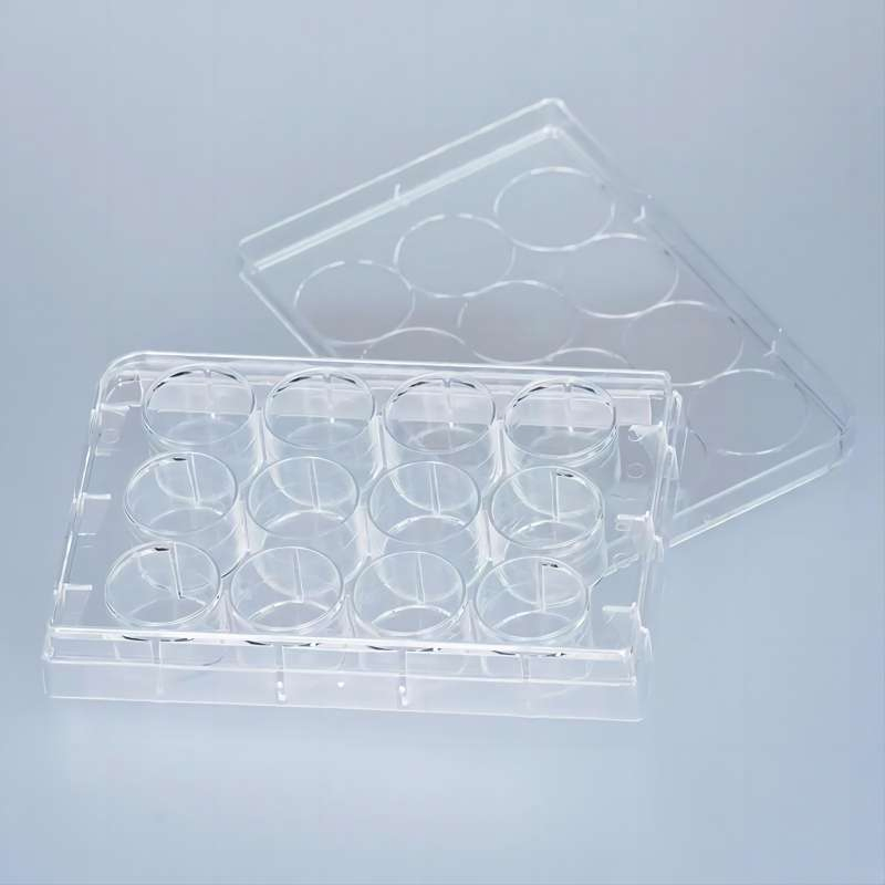 Disposable Sterile Cell Culture Plate Multi Well Culture Plate