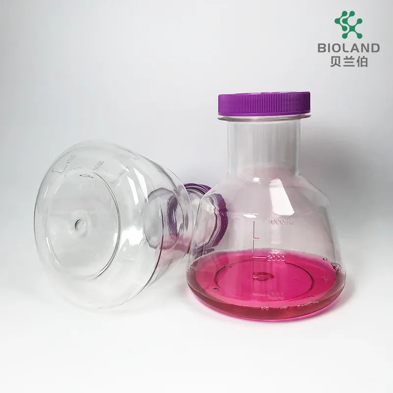 Erlenmeyer Flask View 2