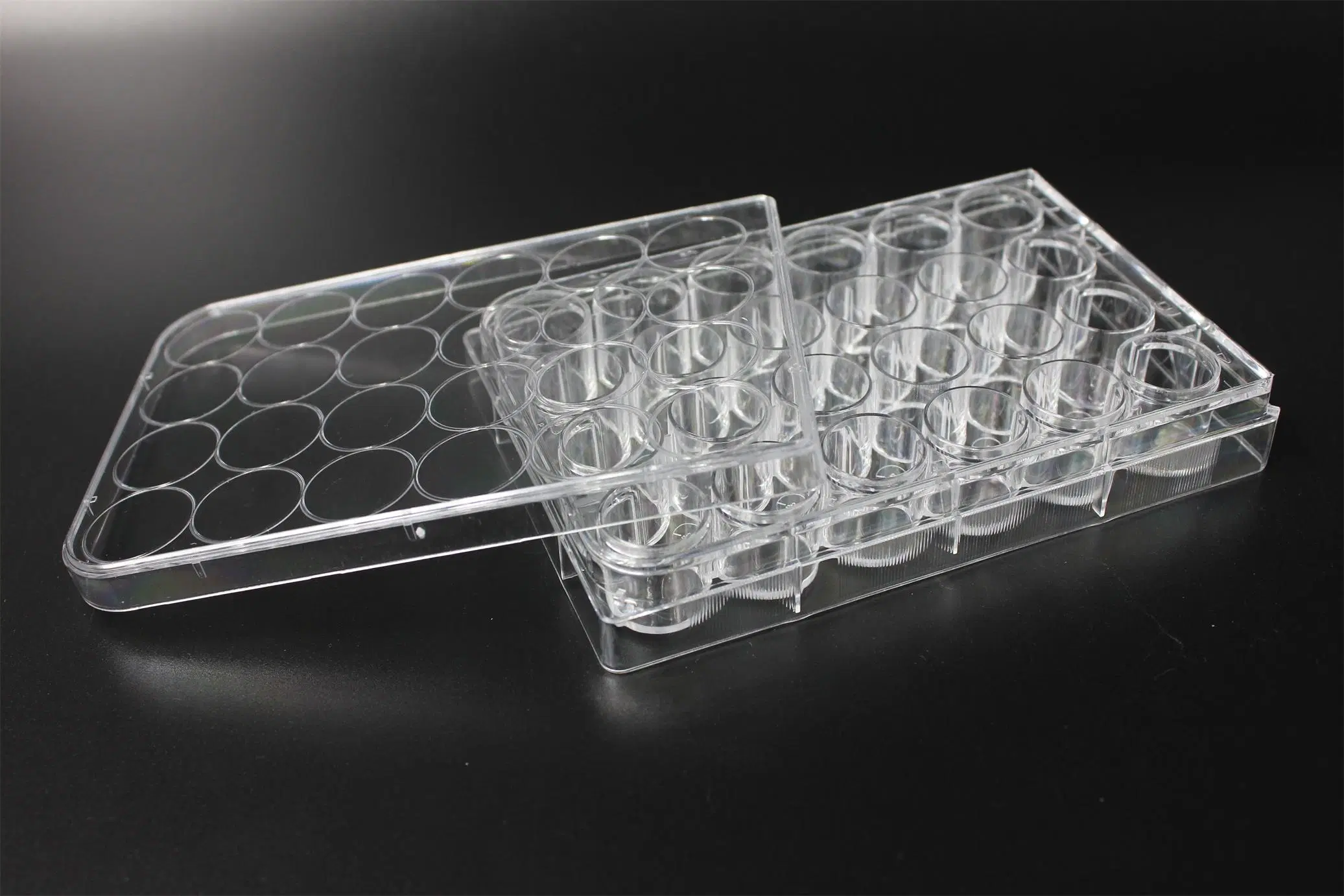 Lab Consumables Multi Well Plate 6-48wells