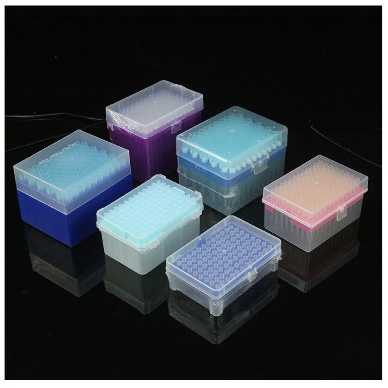 Laboratory Disposable Plastic Universal Sterile Filter 10UL 200UL 1000UL 1250UL Pipette Tip