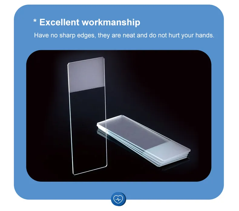 Microscope Slide Set 3