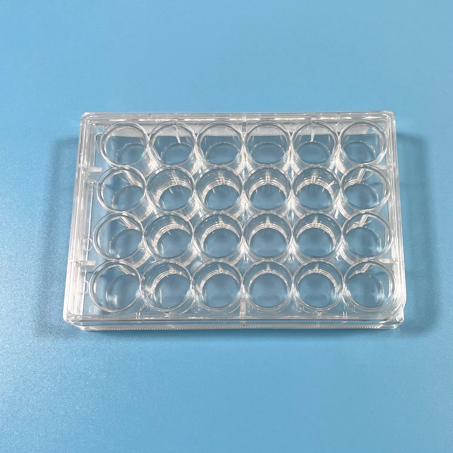 Plastic Seed Multi-Well Cell Culture Plates 24 Well Tissue Culture Plate