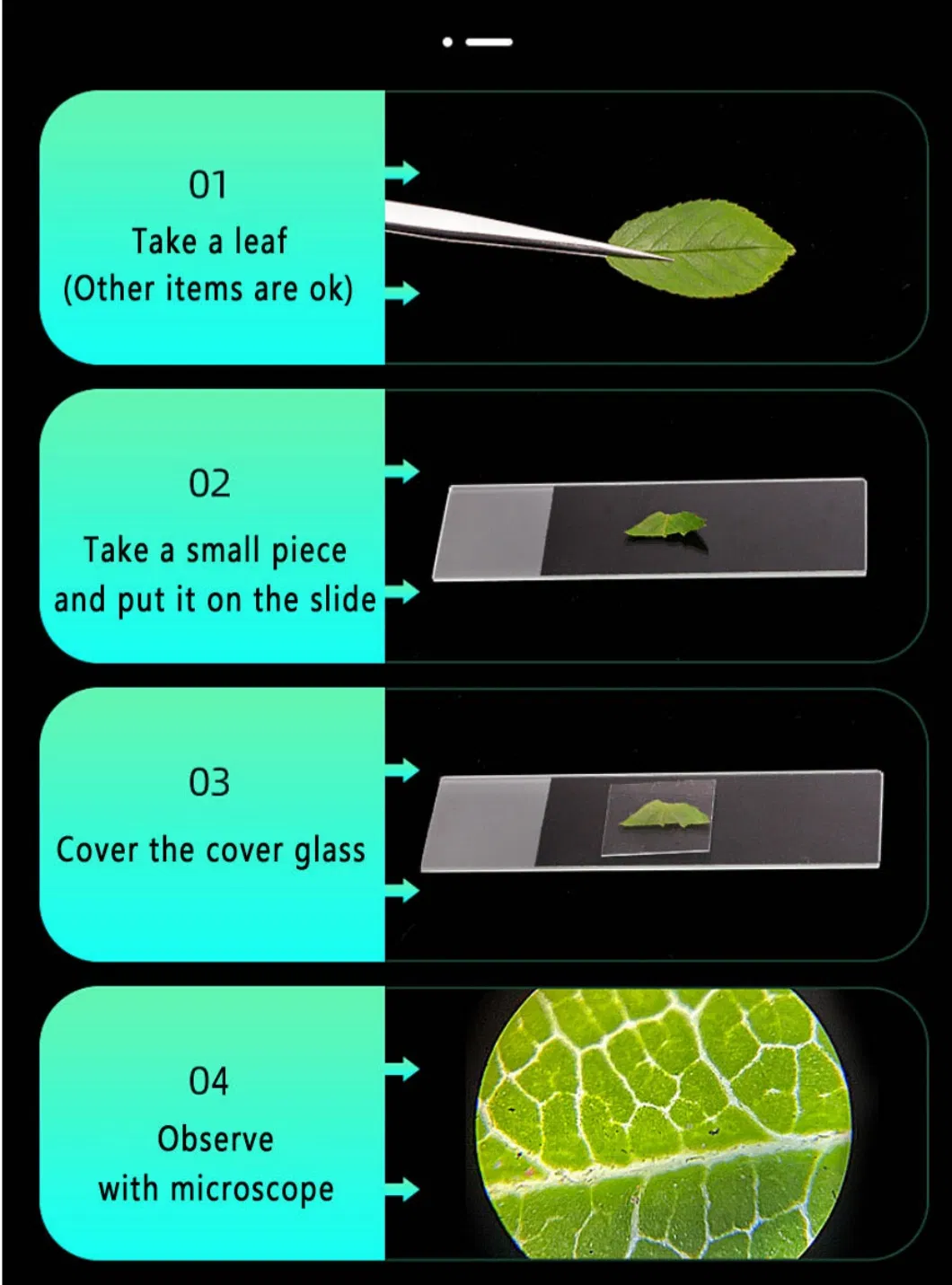 Laboratory Consumables