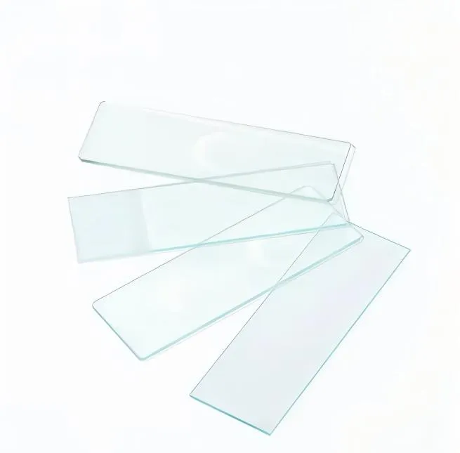 Microscope Slide Detail