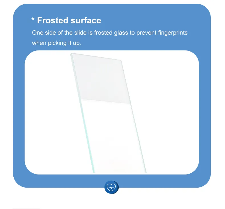 Microscope Slide Set 4