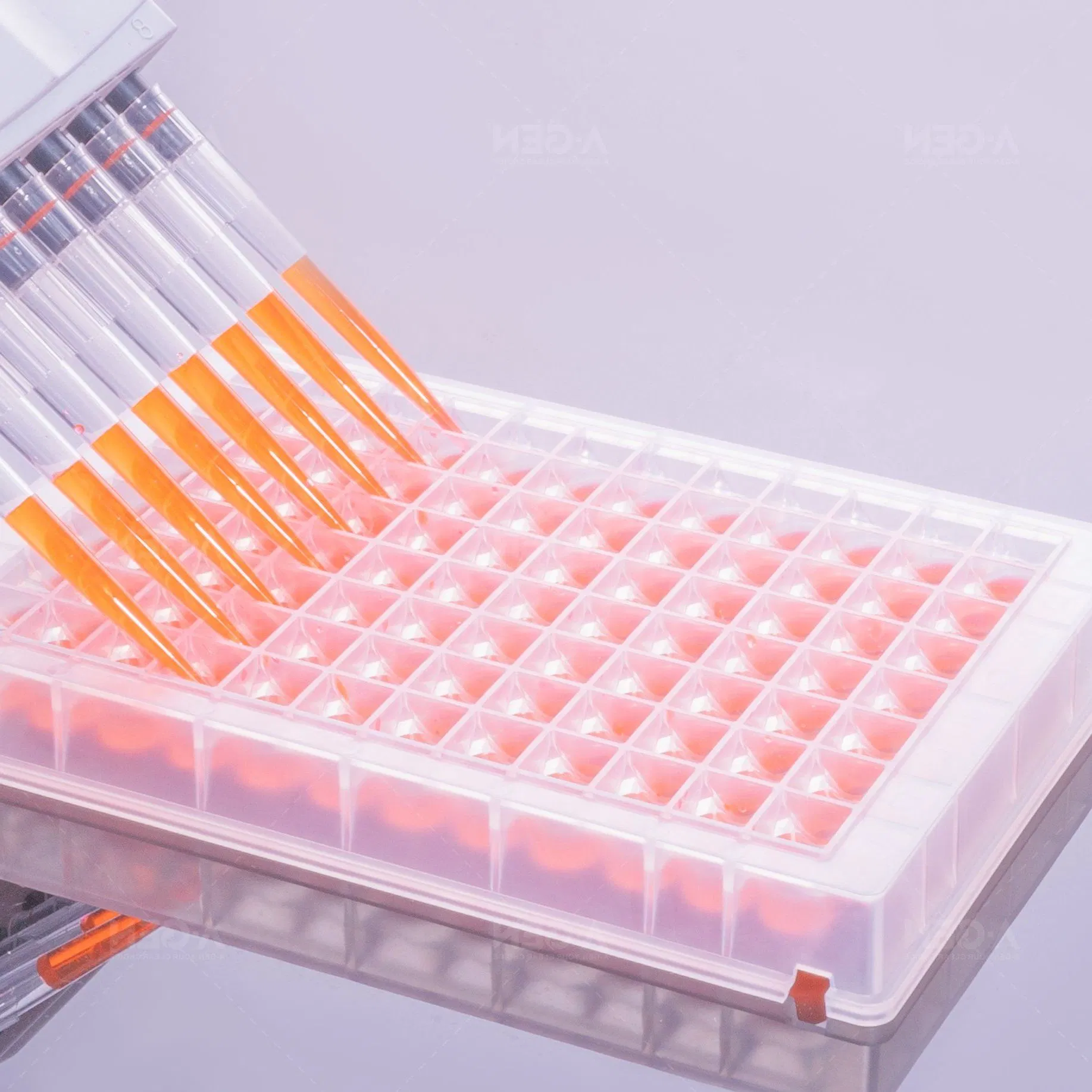 0.5ml PP, Sbs Square 96 V Bottom Deep Well Plate for Kf