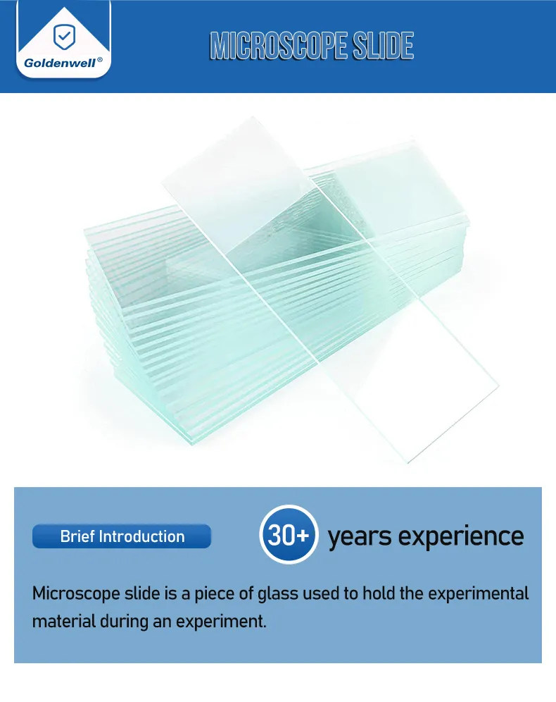 Microscope Slide Photo 1