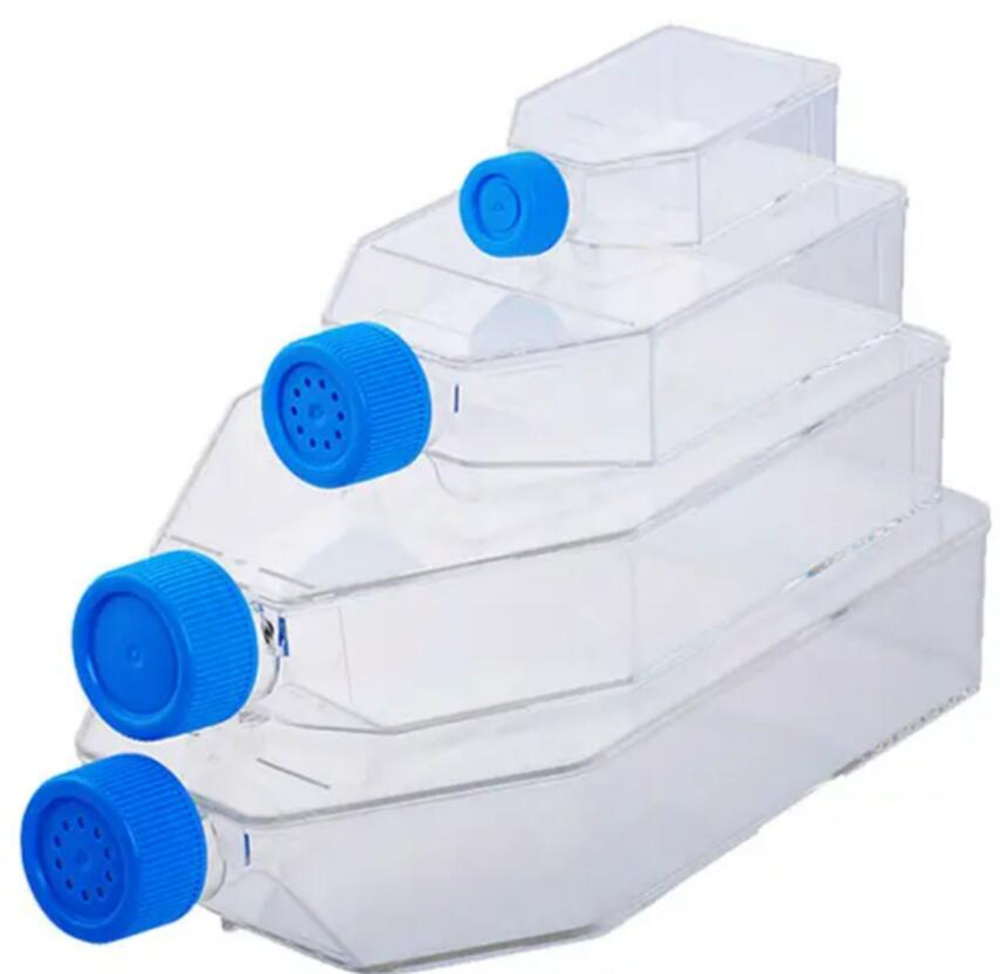 Sale 225cm2 Tc Vented Cell Culture Flask in Sterile Sealed Bag