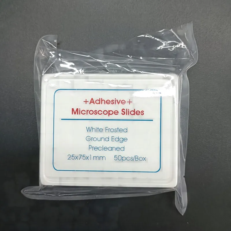 Microscope Slide 3