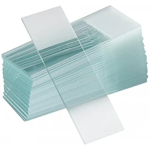 Microscope Glass Slides