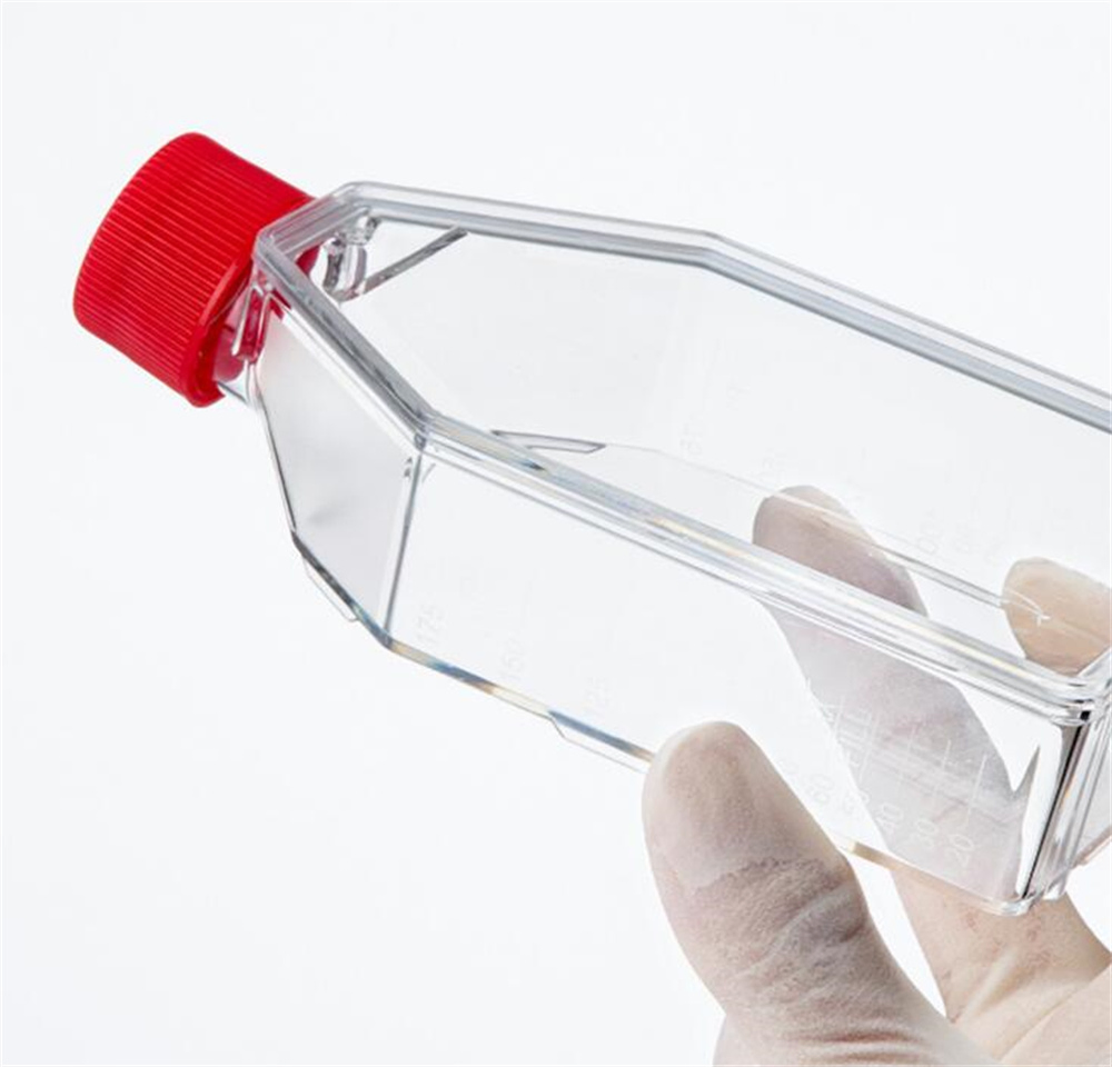 Culture Flask Plastic Tissue Cell Culture Flask Radical Manufacturer