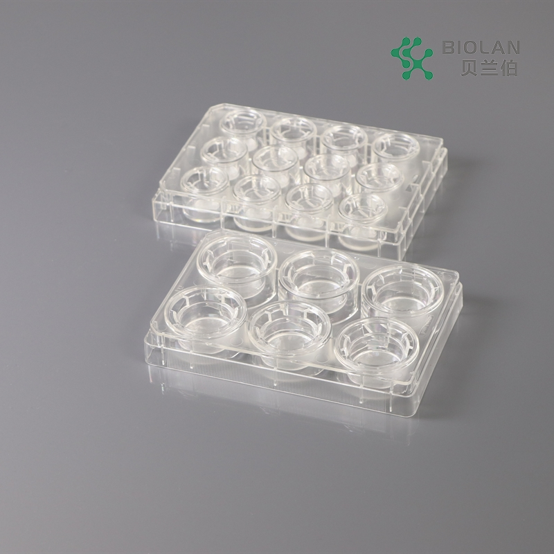 Bioland Cell Culture Inserts in Multi-Well Plates 0.4 3, 5 and 8um