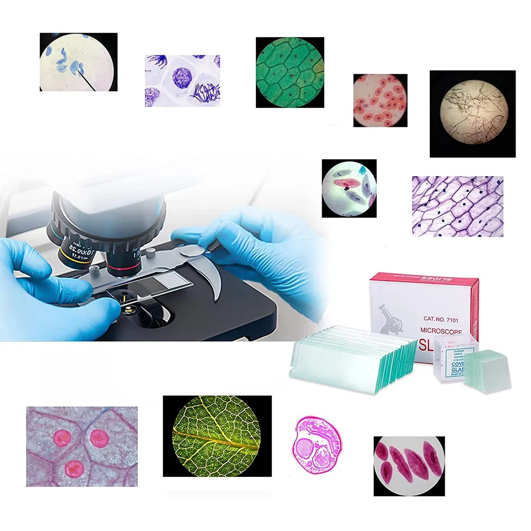 Microscope Slide Packaging