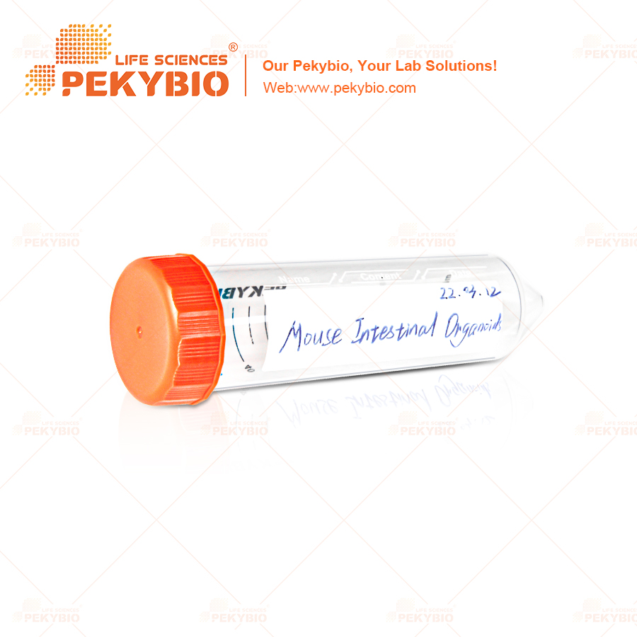 50ml Conical Bottom Centrifuge Tube with Orange Cap for Laboratory Applications