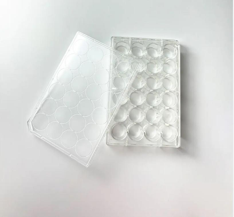 Cellpro Multi Well Plate 48 Well Cell Culture Plate Tissue Culture Treated Flat Bottom