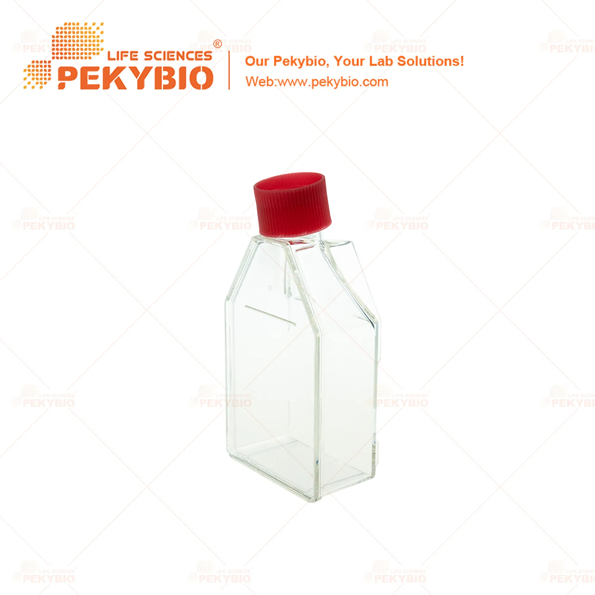 Premium Individual Cell Culture Flask for Lab Research and Test