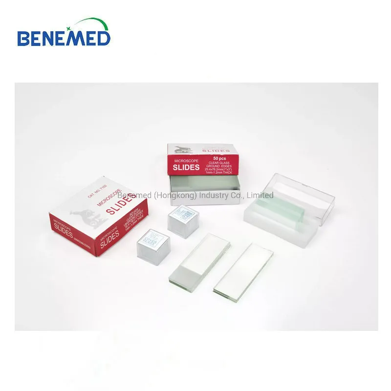 Microscope Slide Detail 3