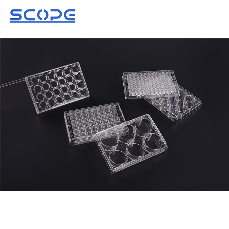 Laboratory Use Flat Bottom Tc-Treated Polystyrene Clear Multi-Well Cell Culture Plate