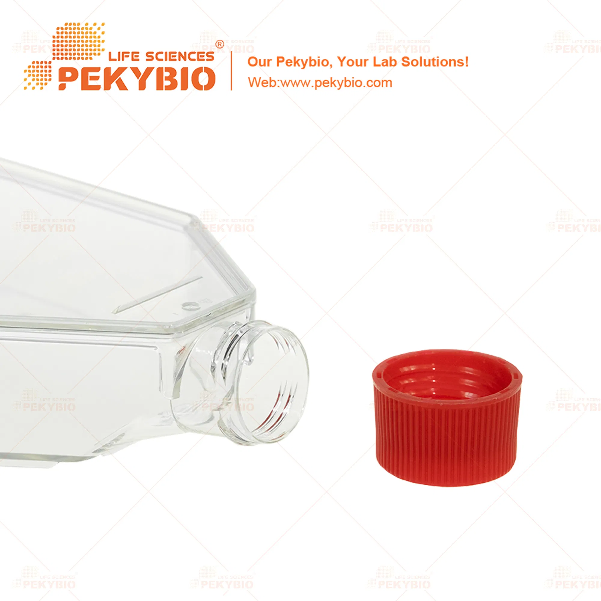 E-Beam Sterile Cell Culture Flask for Laboratories