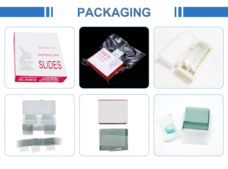 Microscope Slide Set 5