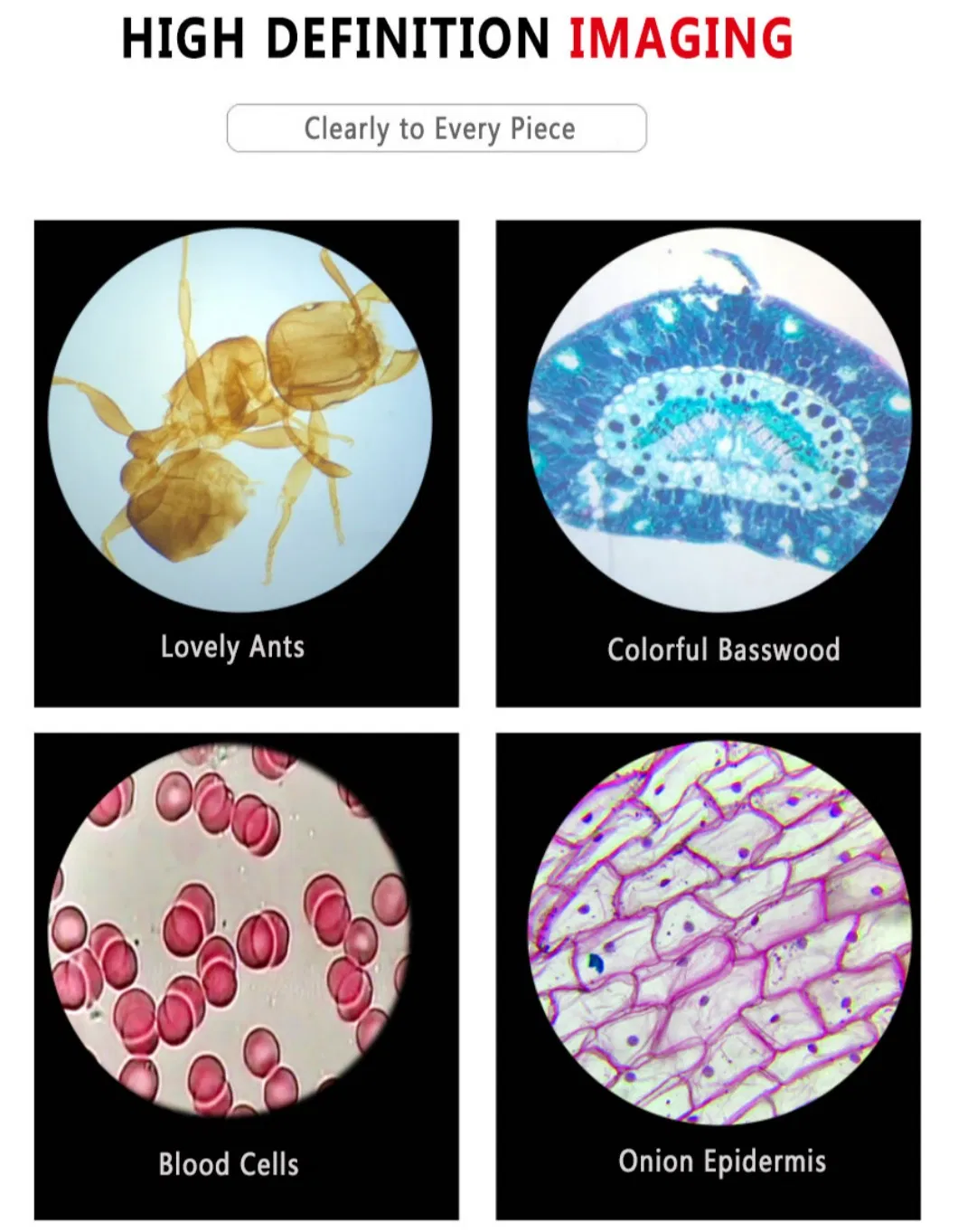 Grounded Edges Slide