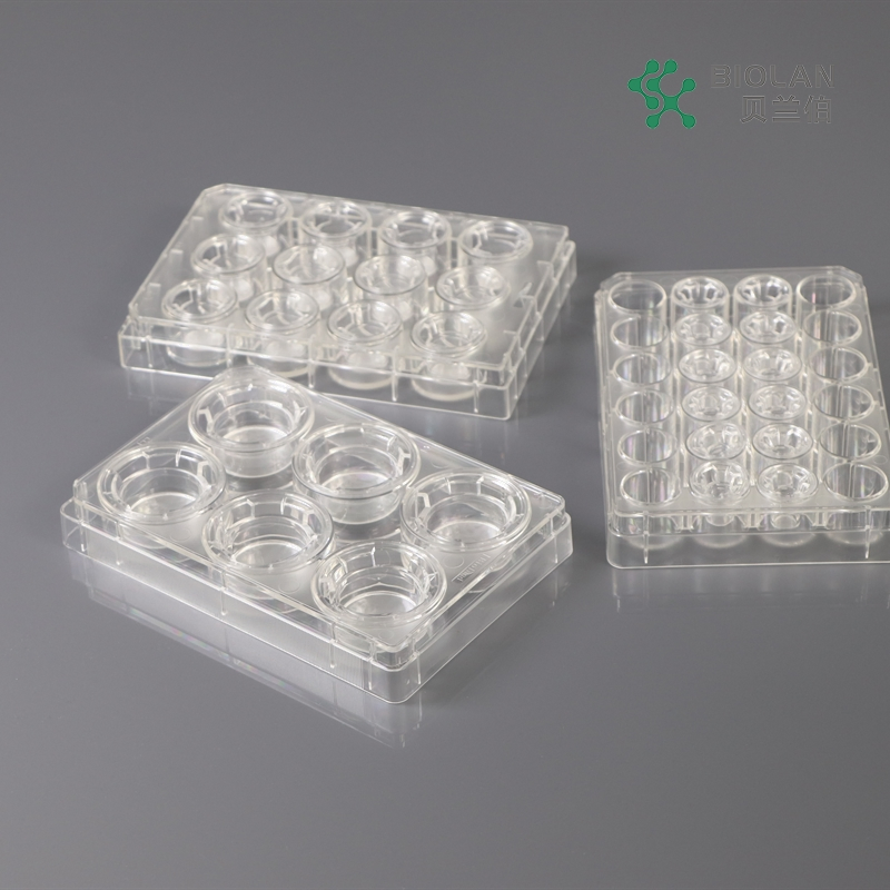 Bioland Cell Culture Inserts in Multi-Well Plates 0.4 3, 5 and 8um