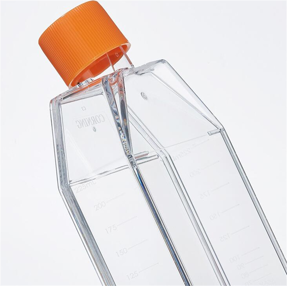 Culture Flask Plastic Tissue Cell Culture Flask Radical Manufacturer