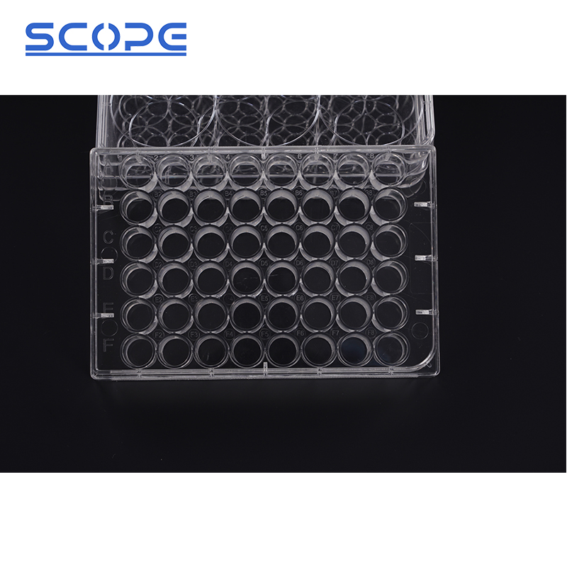Standard Tissue Culture (TC) Treated Clear Multi-Well Cell Culture Plate