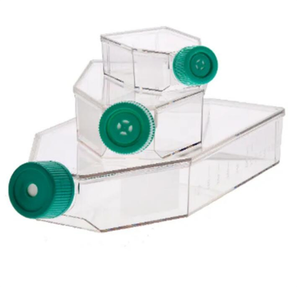 Cell Culture Flasks Plastic Hot Sale 50 Ml 250 Ml 750 Ml 950 Ml with Competitively Price