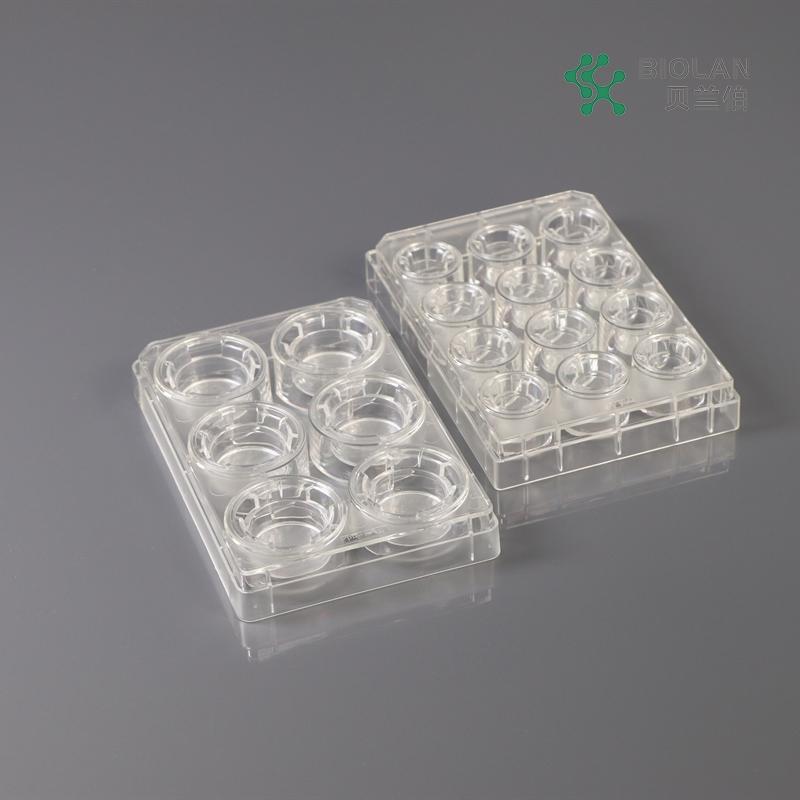 Bioland Cell Culture Inserts in Multi-Well Plates 0.4 3, 5 and 8um