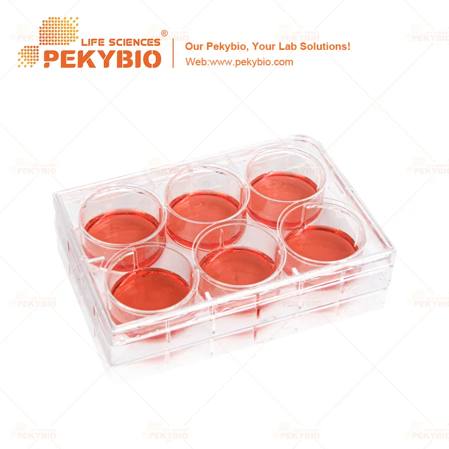 Recommended Lab Pipette 3