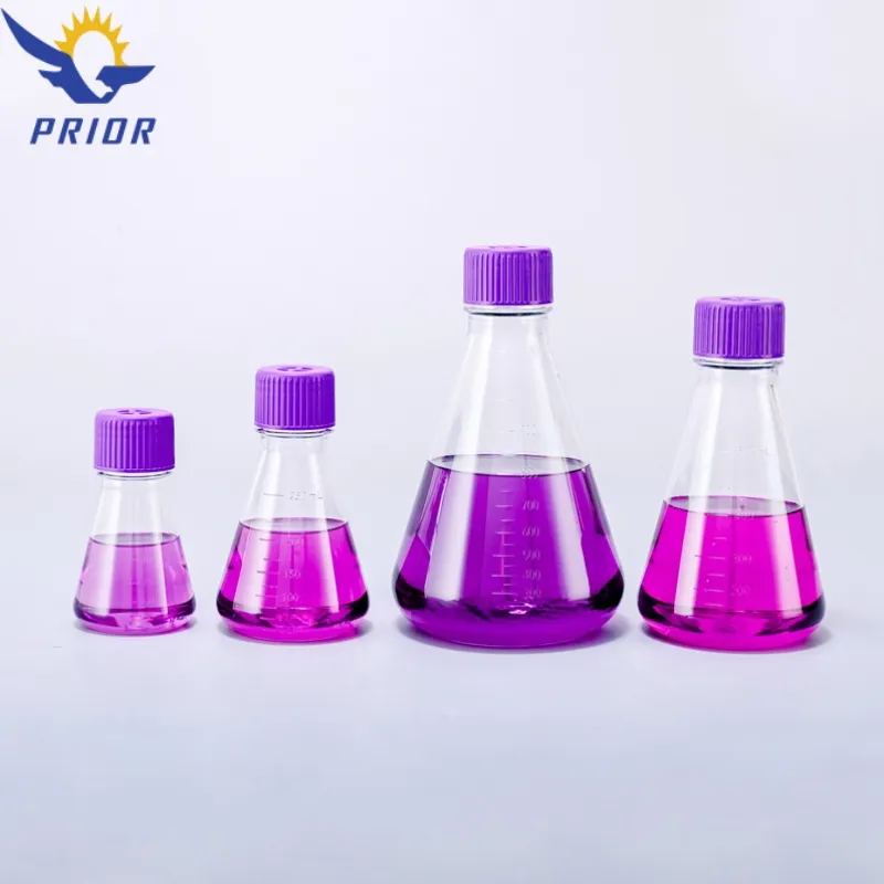 Erlenmeyer Flask 1