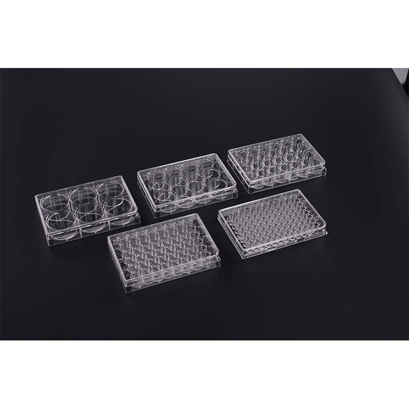 Standard Tissue Culture (TC) Treated Clear Multi-Well Cell Culture Plate