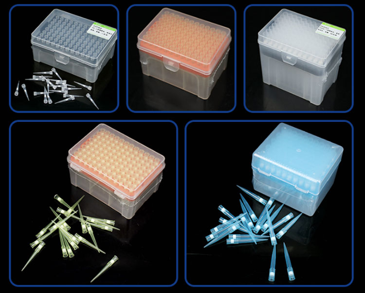 Lab Disposable 10UL 20UL 200UL 1000UL Sterile Pipette Tips with Filter