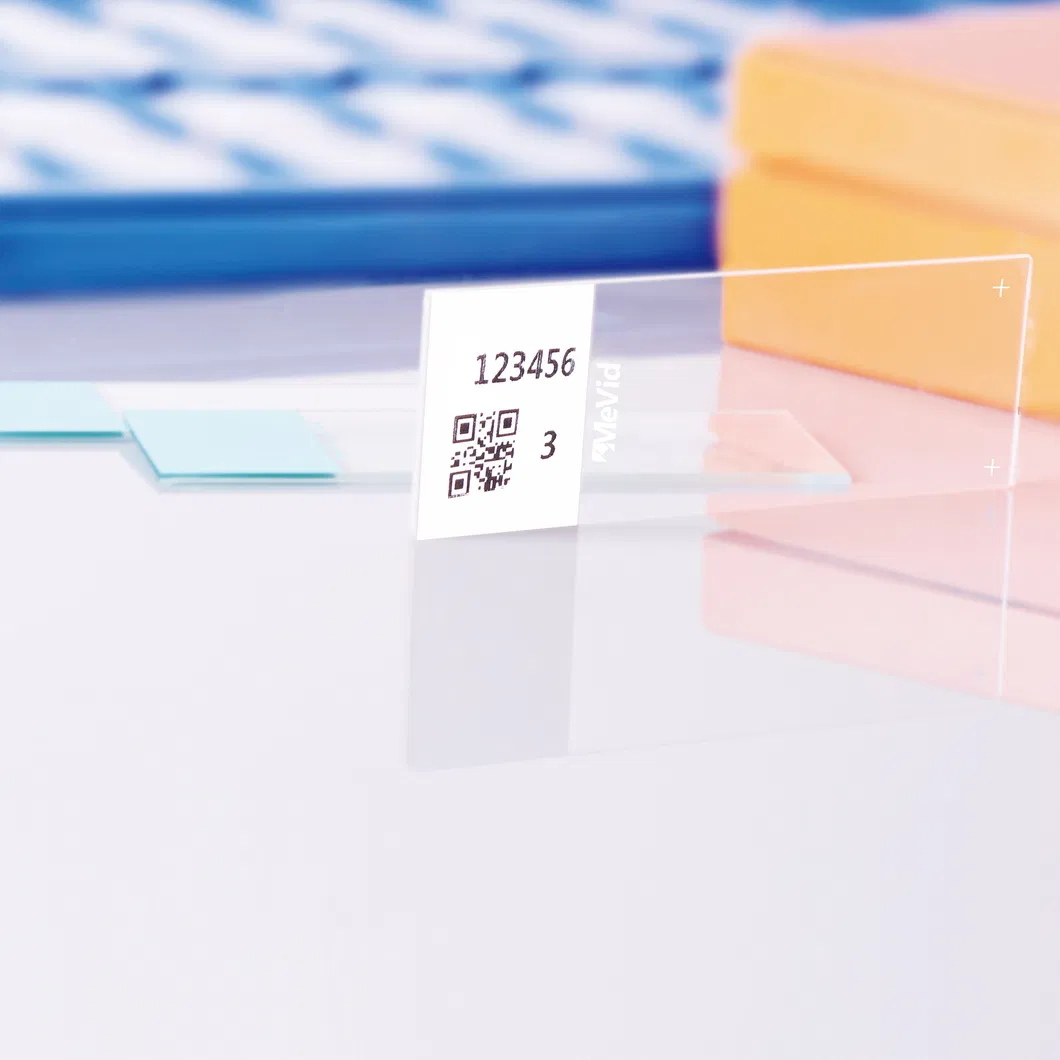 Microscope Slide Detail