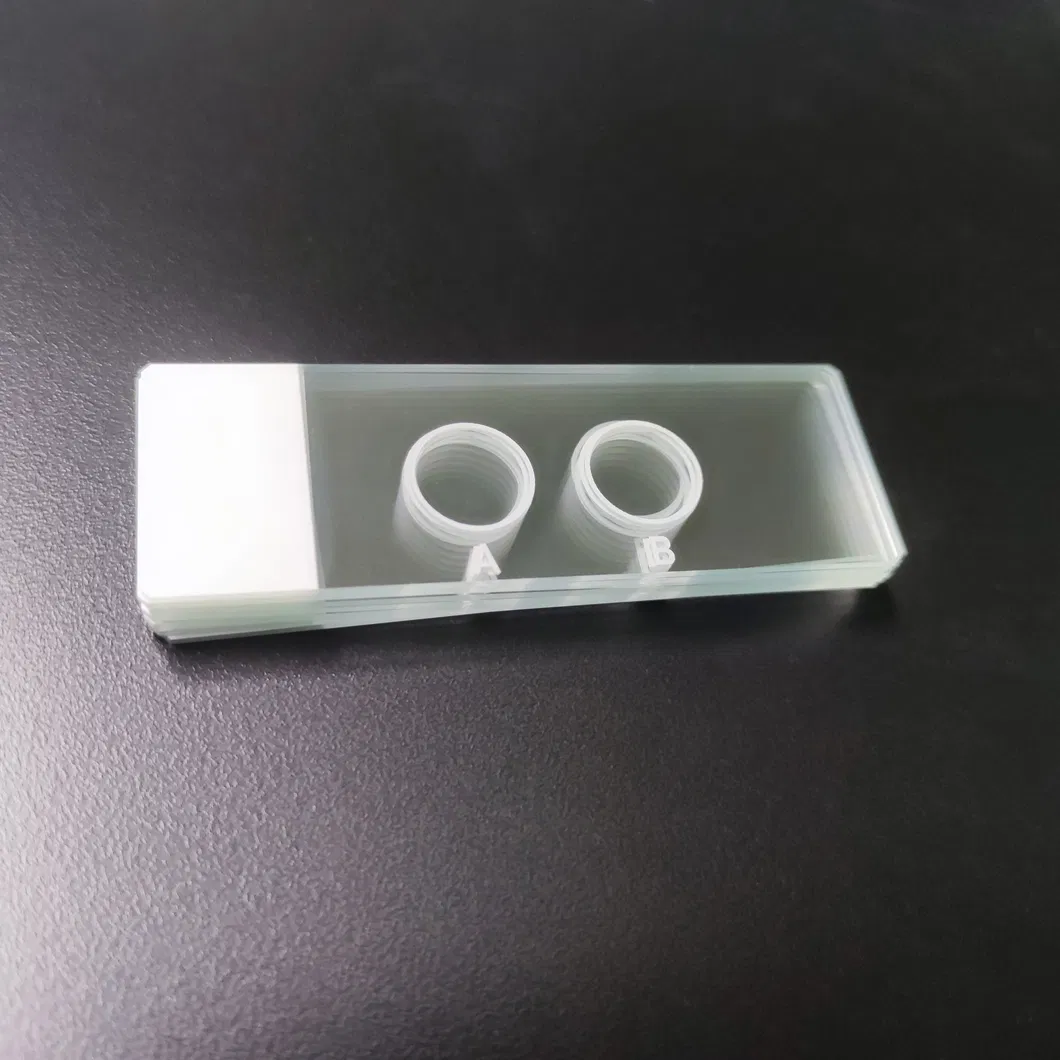 Diagnostic Microscope Slide 4