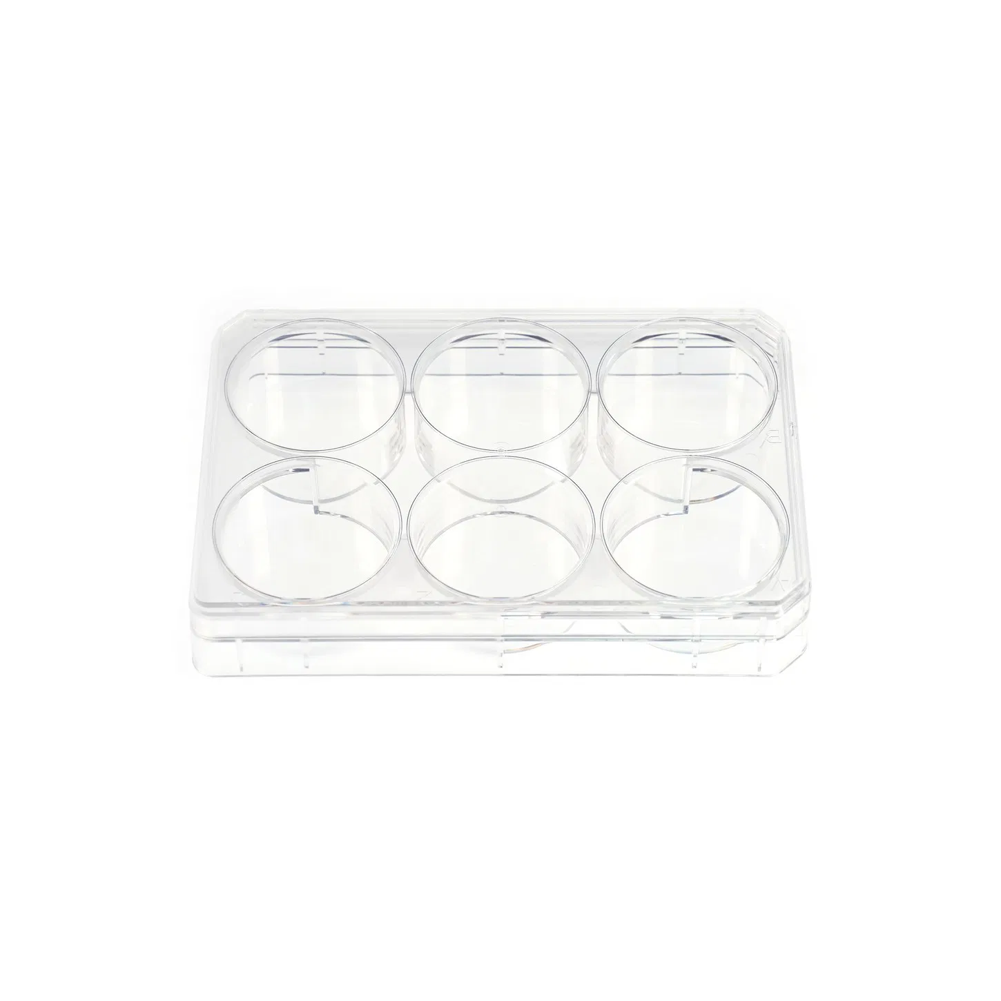 Medmount Laboratory Round PP Disposable Multi-Channel 96 Well Deep Well Plates