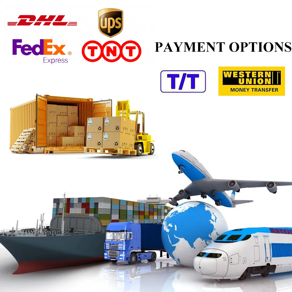 Packaging and Logistics