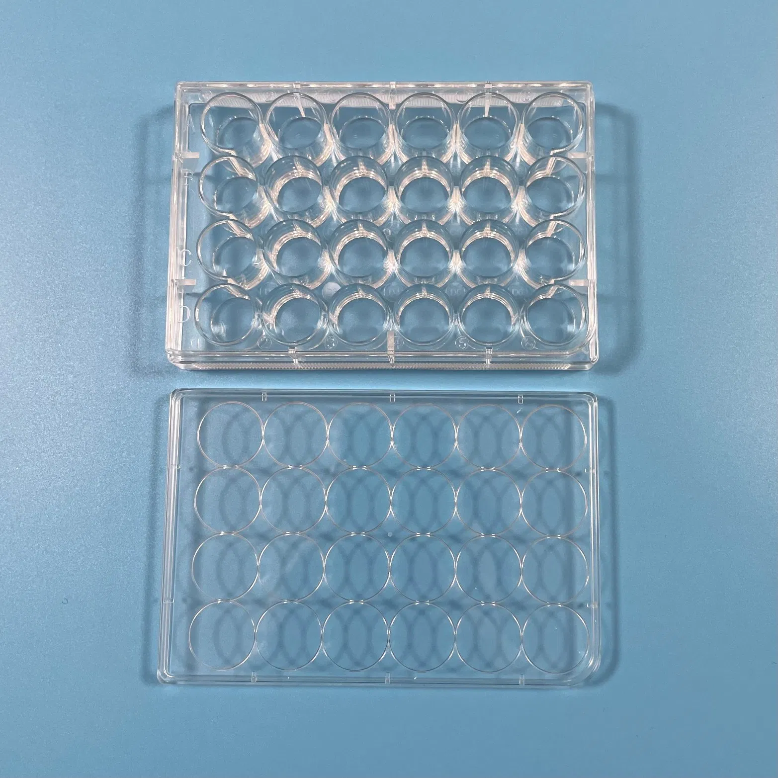 Plastic Seed Multi-Well Cell Culture Plates 24 Well Tissue Culture Plate