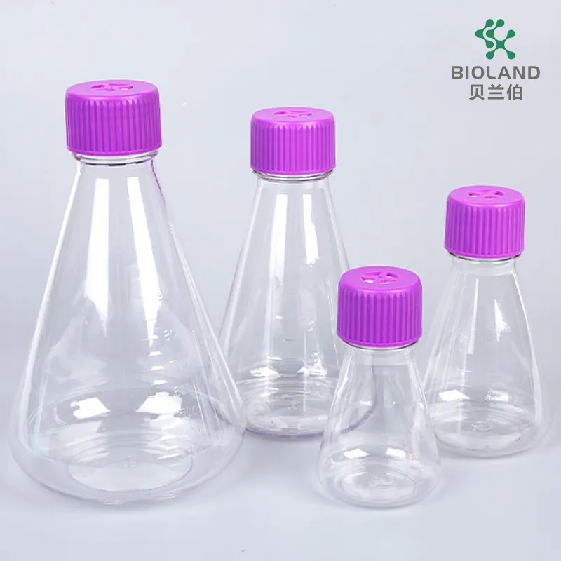 Erlenmeyer Flask Detail 1