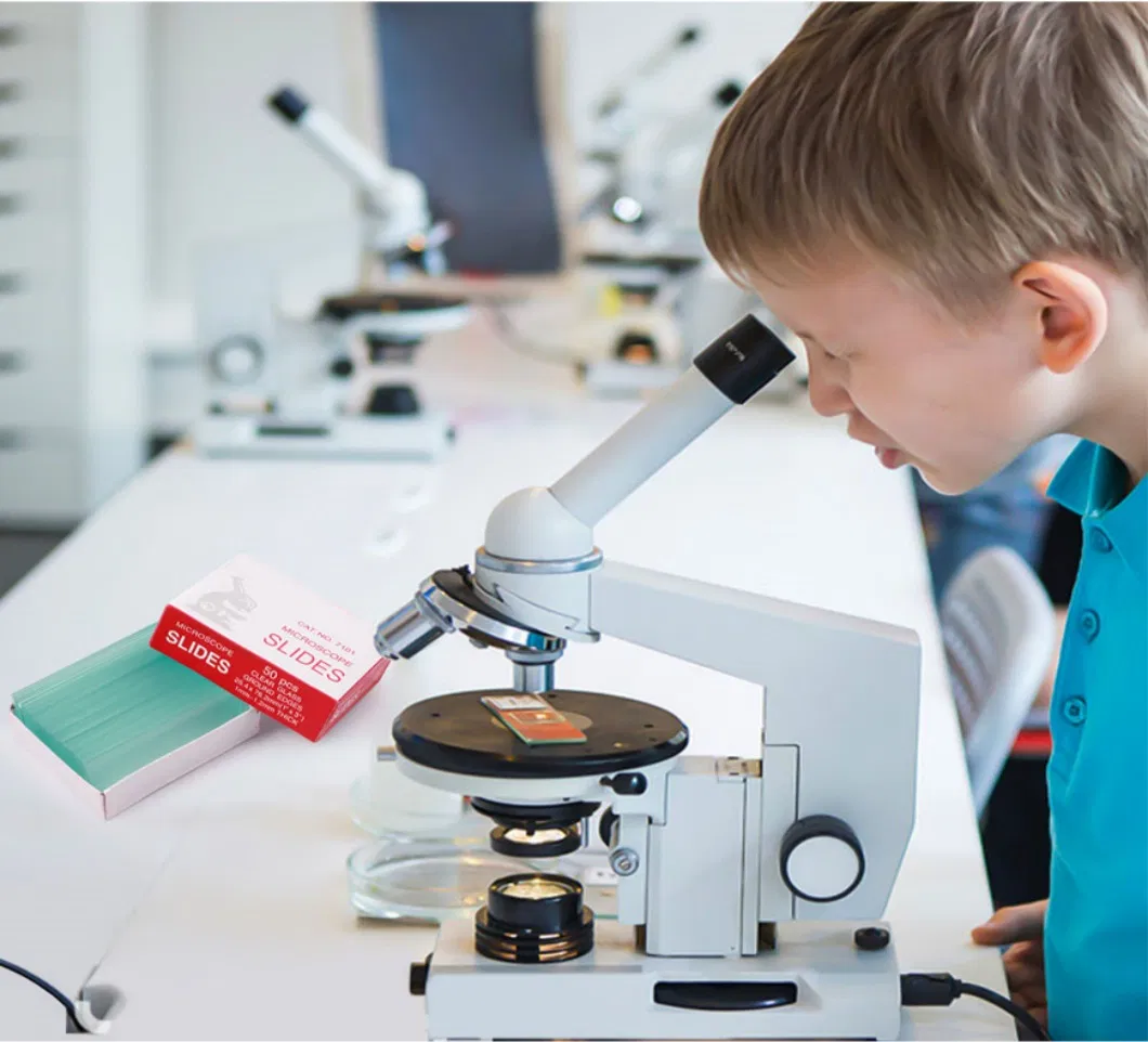 Microscope Slides Pack