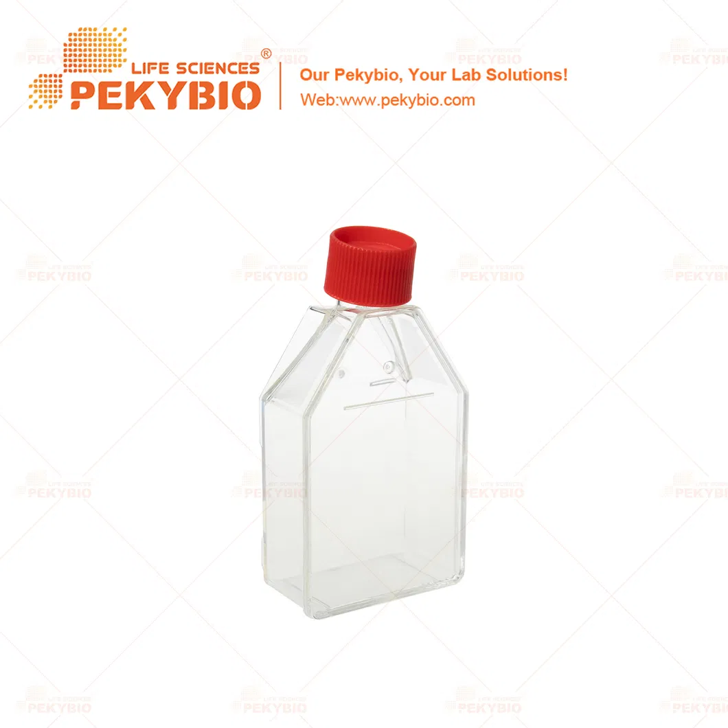 Cell Culture Flask Detail 1