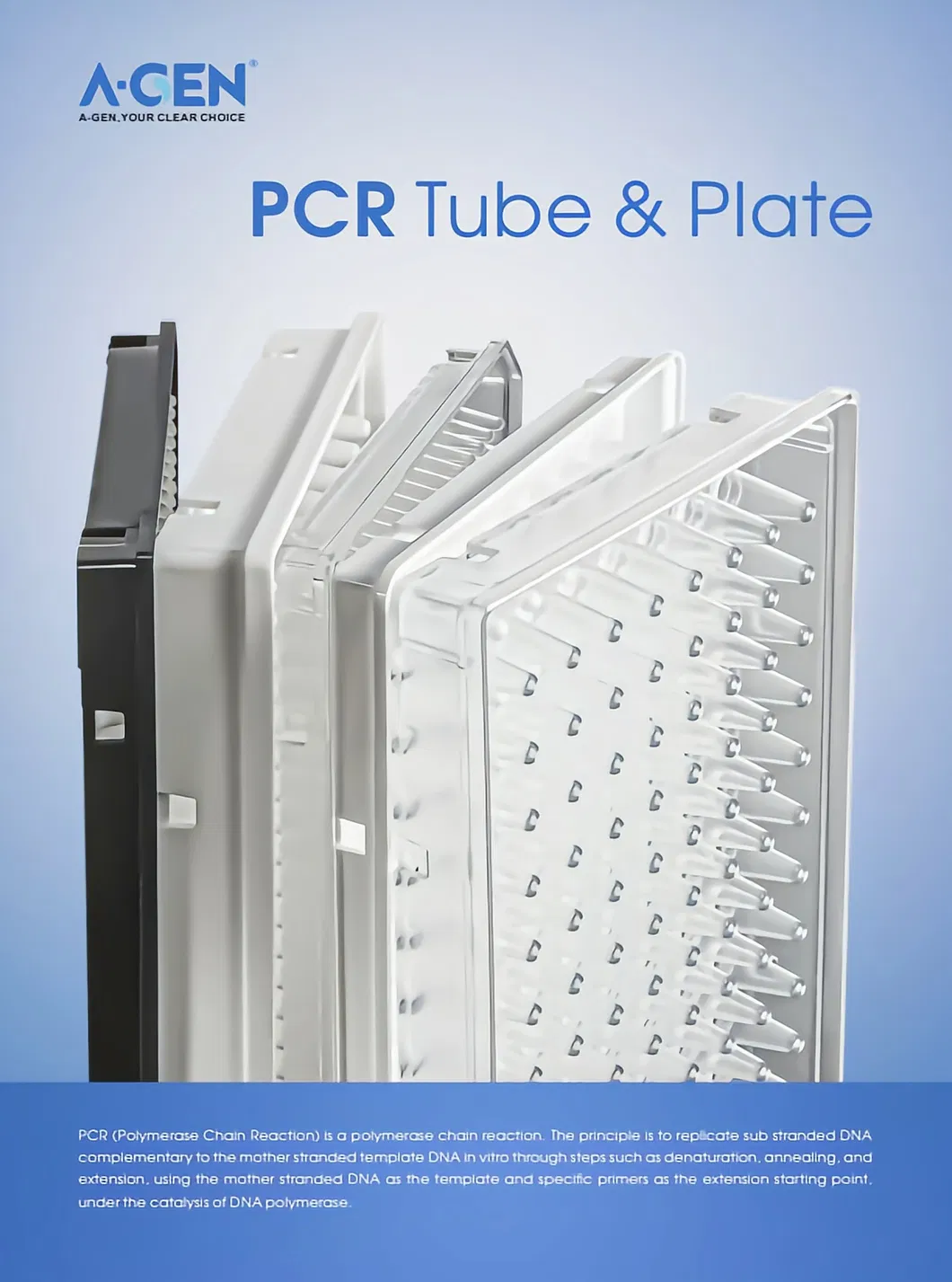 PCR Plate Overview