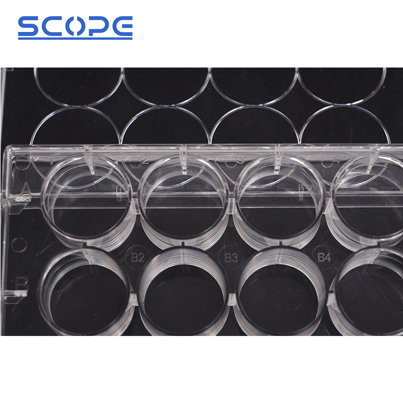 Laboratory Use Flat Bottom Tc-Treated Polystyrene Clear Multi-Well Cell Culture Plate