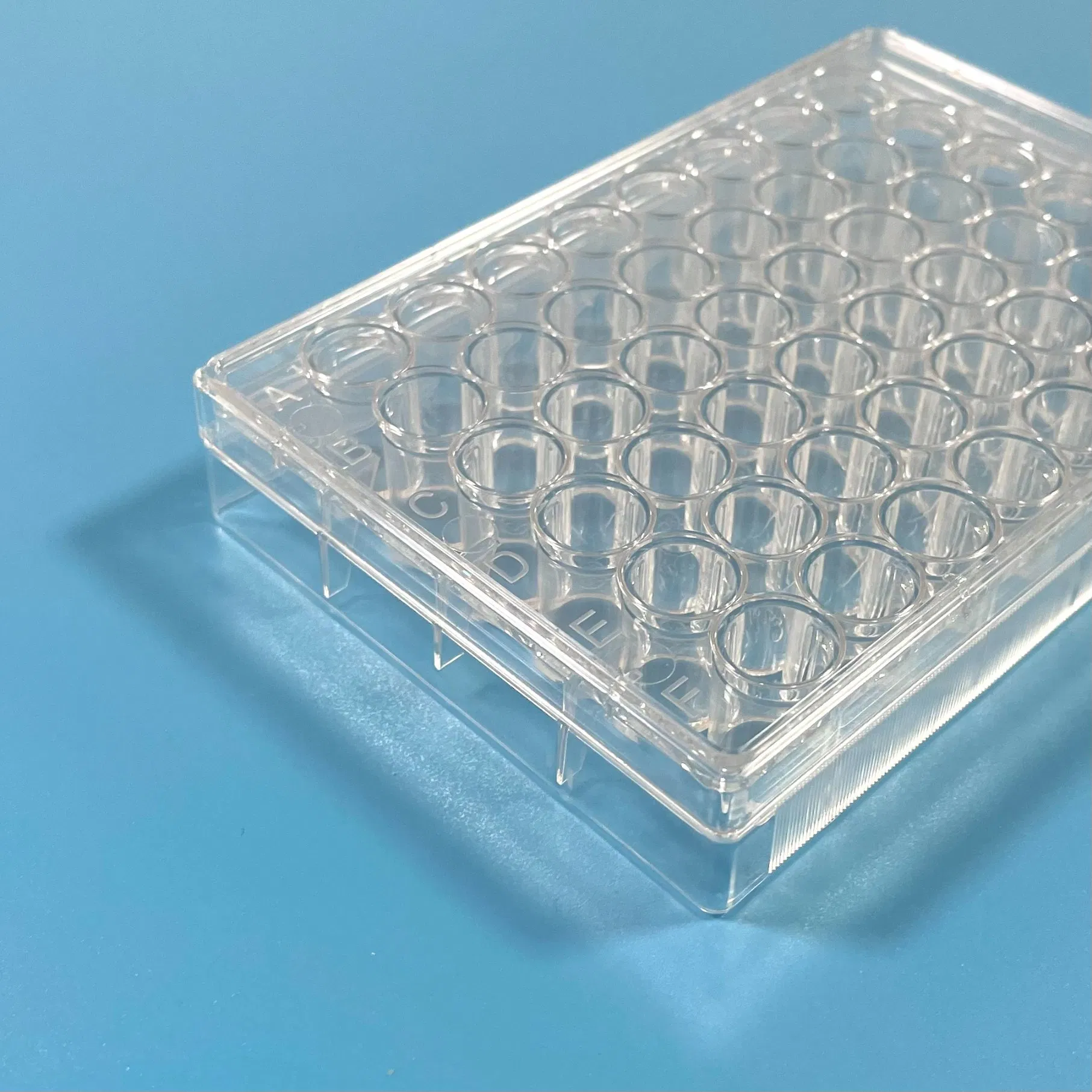 Plastic Multi-Well Sterile 48 Well Cell Culture Plates with Tc Treated