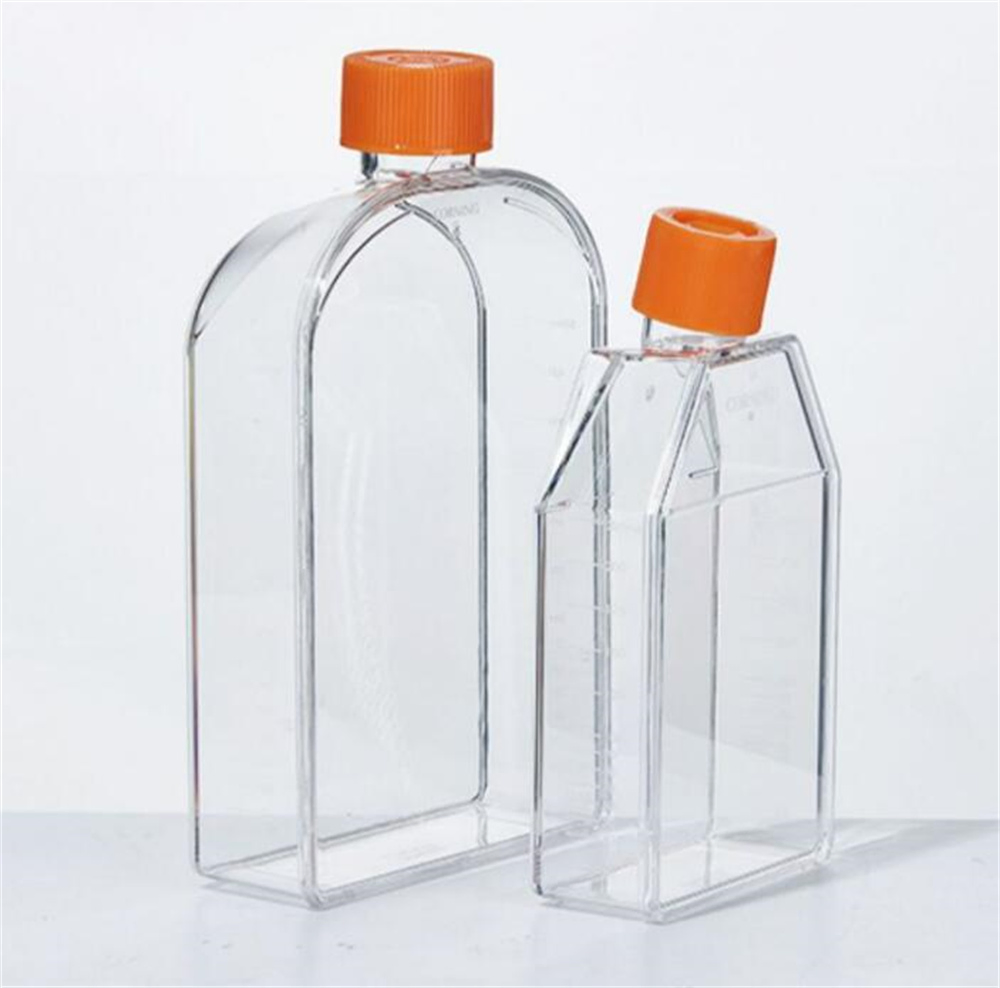 Culture Flask Plastic Tissue Cell Culture Flask Radical Manufacturer