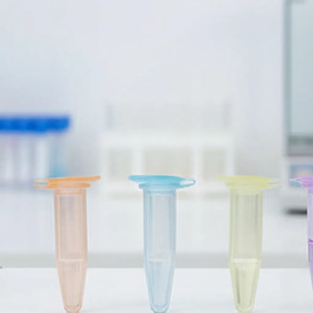 High-Quality Microcentrifuge Tube with Cone Bottom 1.5ml Microcentrifuge Tubes Laboratory Test Tube