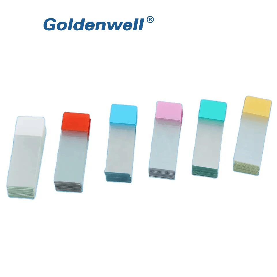 Microscope Glass Slide Science Set