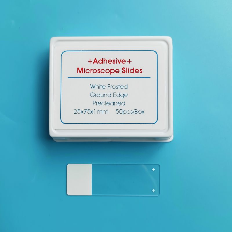 Laboratory Glass Microscope Slide Positive Charged